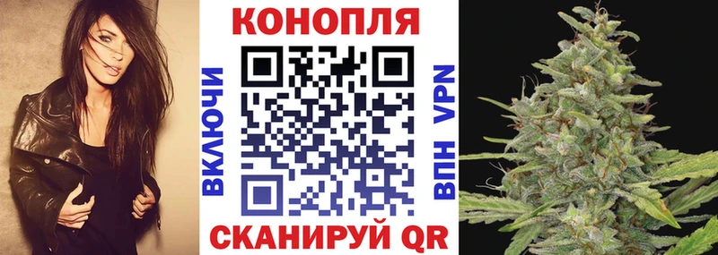 гидра зеркало Тавда Конопля семена